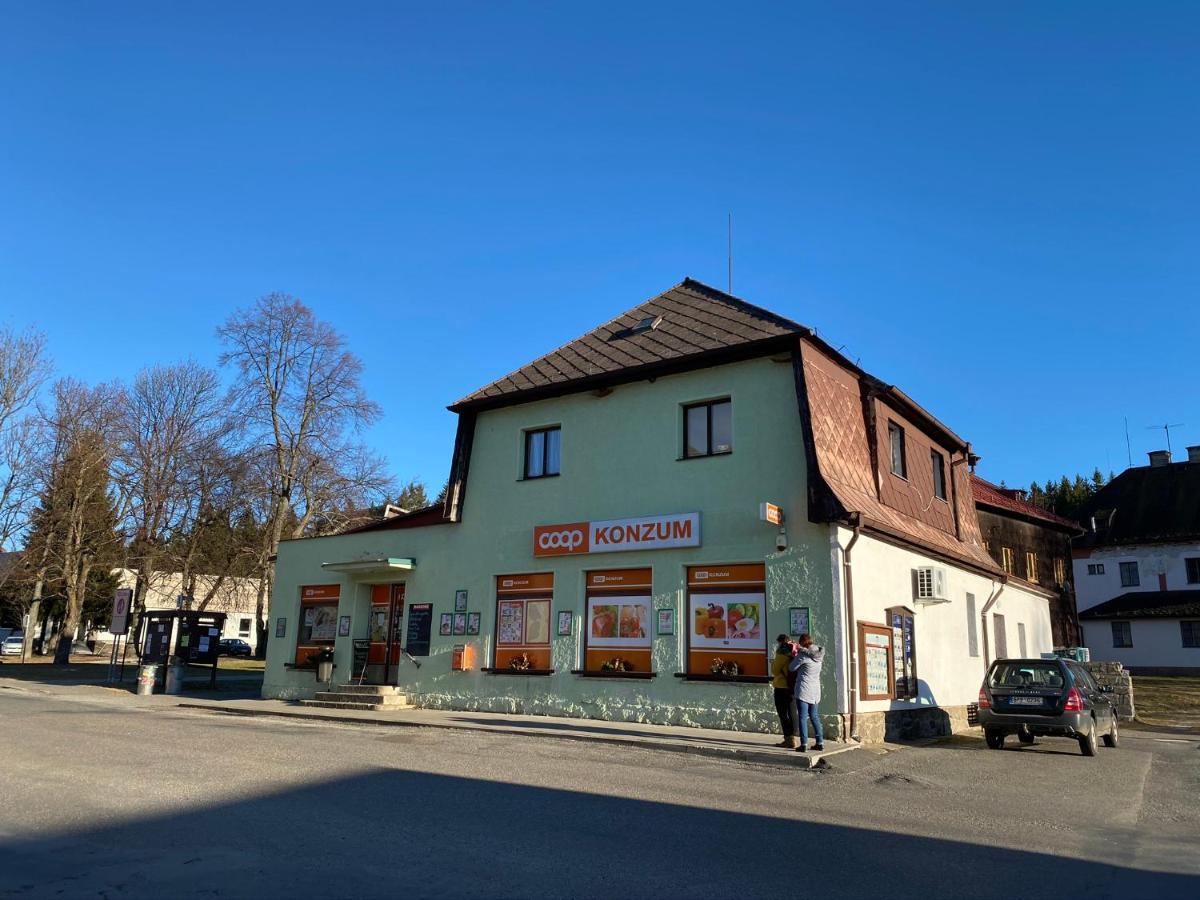 Apartmán u lesa, Srní 119 Exterior foto